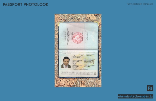 Beispielansicht eines Passfotos für Vietnam